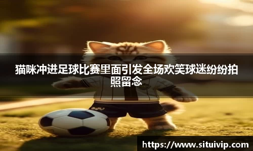 南宫NG28