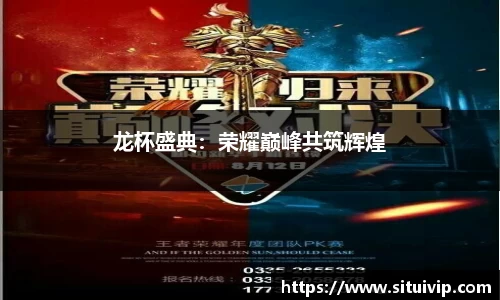 龙杯盛典：荣耀巅峰共筑辉煌
